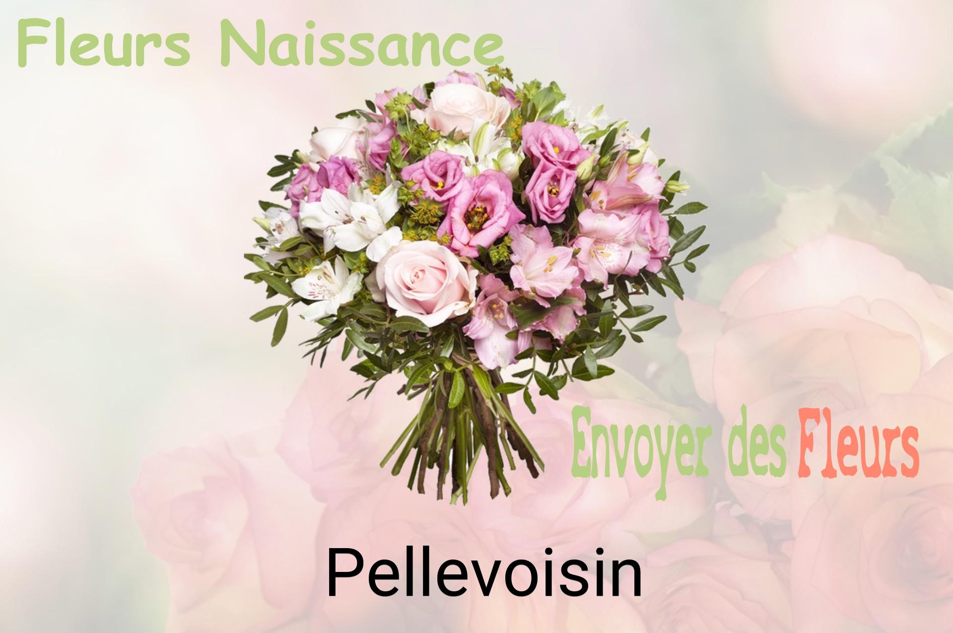 Bouquet de fleurs de naissance livré à Pellevoisin